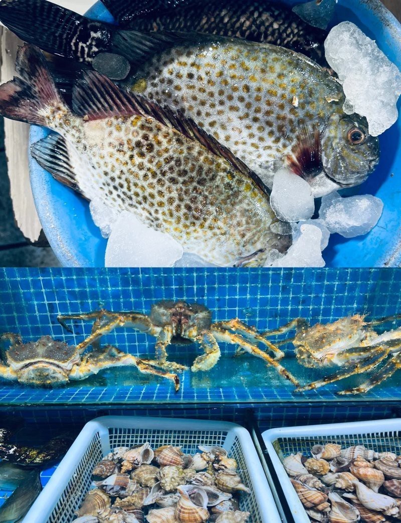 東莞龍魚市場地址電話