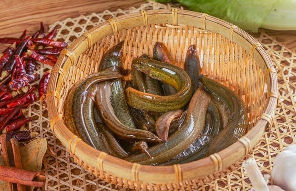十大最臟的淡水魚排名