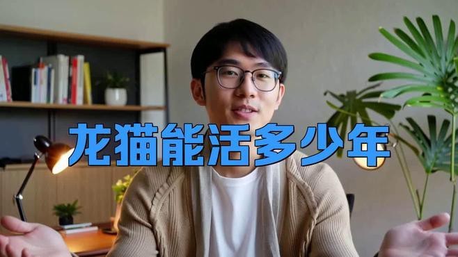 能和銀龍魚一起養的魚有哪些品種(適合與銀龍魚混養的魚有哪些)