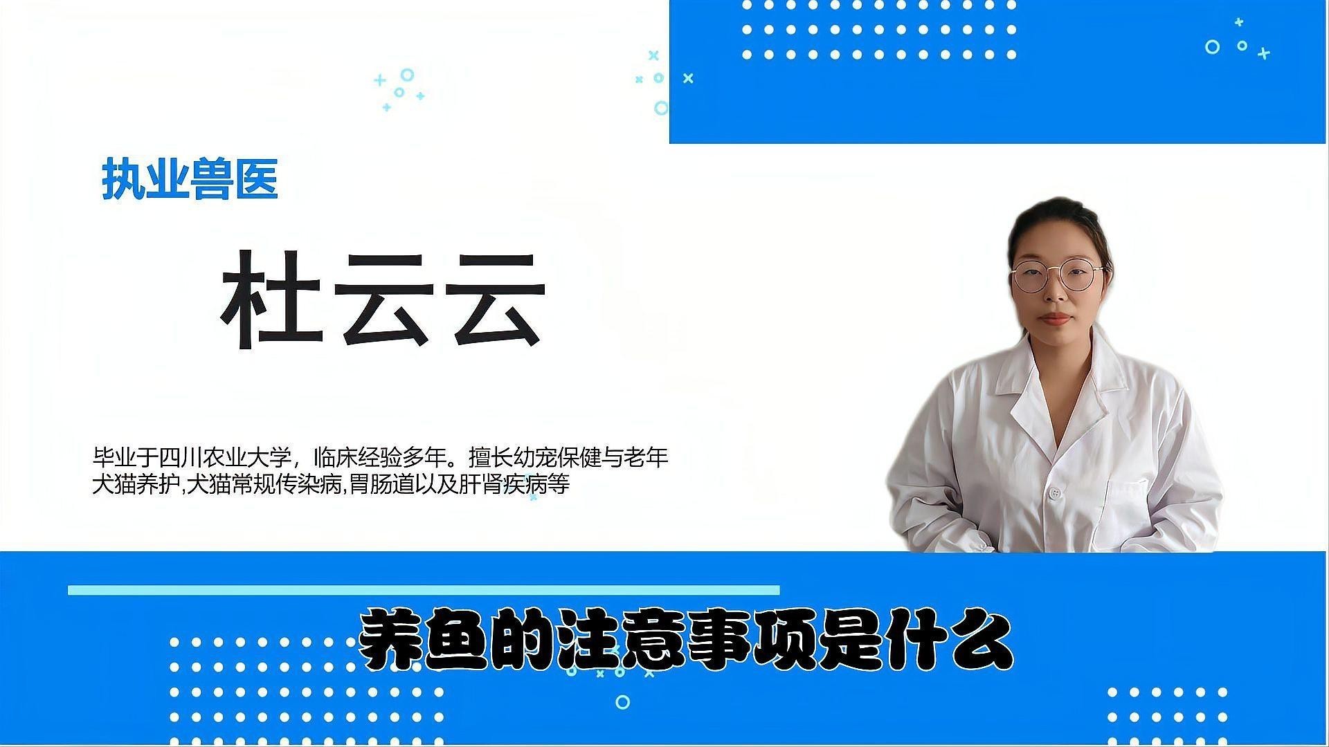 紅龍魚究竟多久喂一次