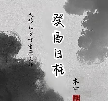 什么屬相不適合養(yǎng)鸚鵡