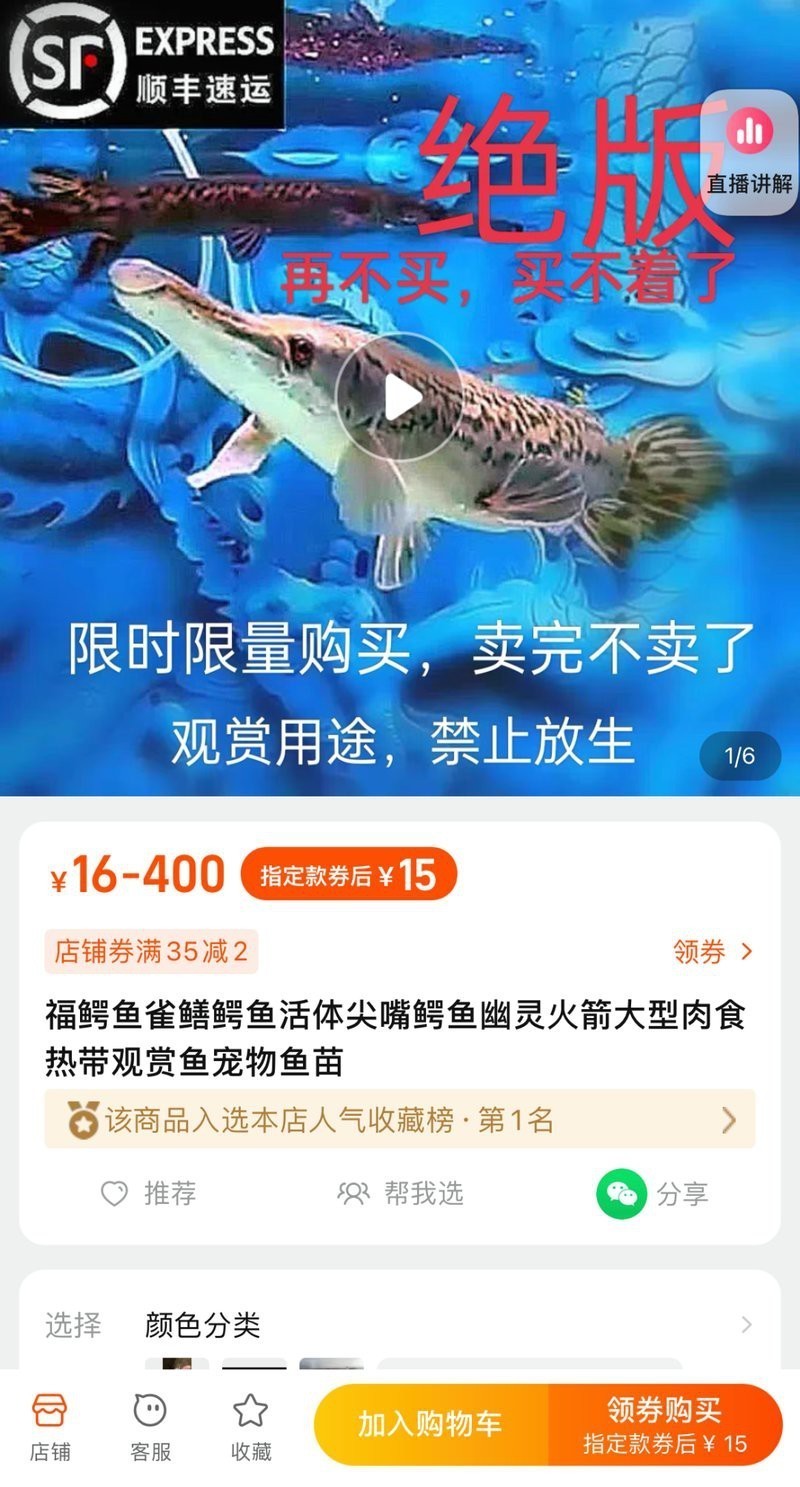 鱷雀鱔允許個人養嗎
