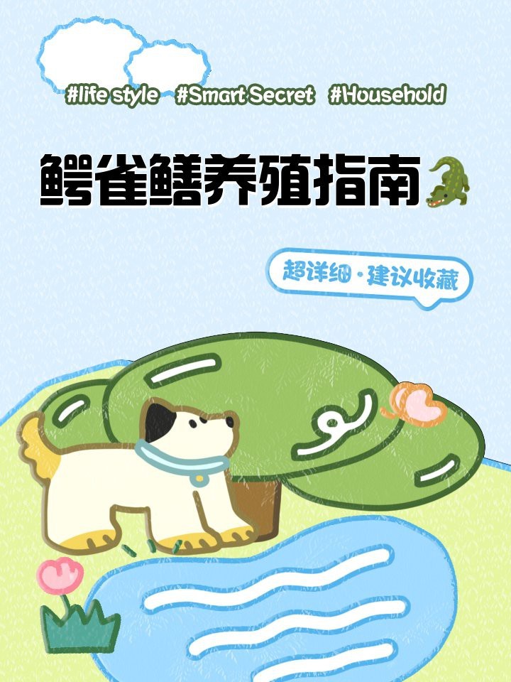 鱷雀鱔允許個人養(yǎng)嗎
