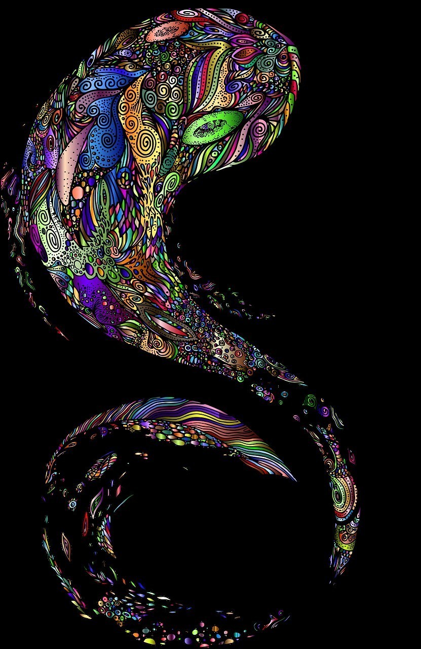 七彩雷龍魚和彩虹雷龍魚哪個兇一點