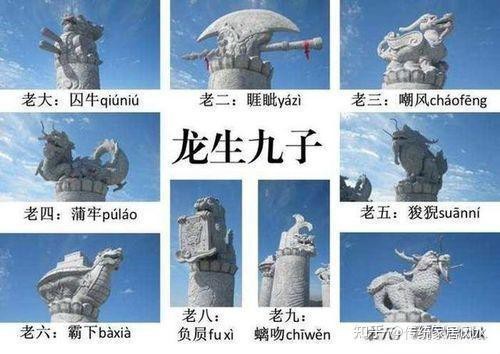 風水龍生有哪些視頻資源？ 風水龍生有哪些視頻資源？ 龍魚論壇 第5張