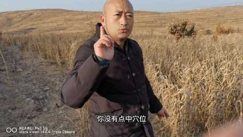 風水龍生有哪些視頻資源？ 風水龍生有哪些視頻資源？ 龍魚論壇 第2張