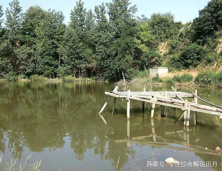 死水塘養(yǎng)魚(yú)最忌三種魚(yú)