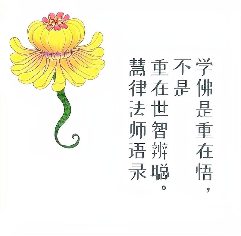 佛說魚轉(zhuǎn)世為人因果