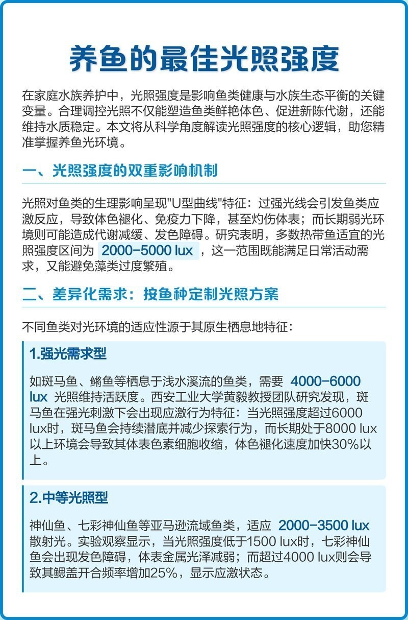 紅龍魚使用13000K燈需要多久適應？