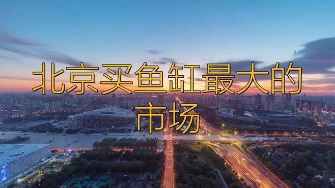 附近哪里有賣魚(yú)缸的位置