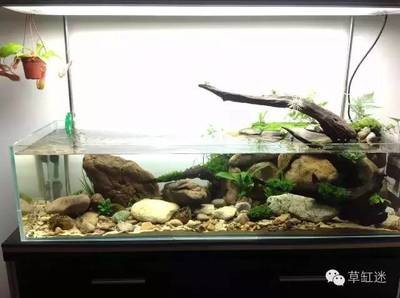 廈門市湖里區李興湖水族館
