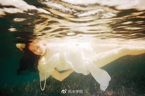 養鱉對家里風水好嗎
