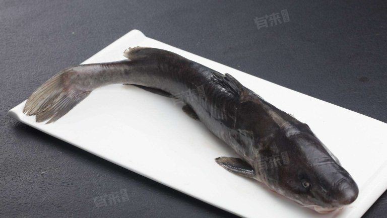 鮰魚適合什么人吃好