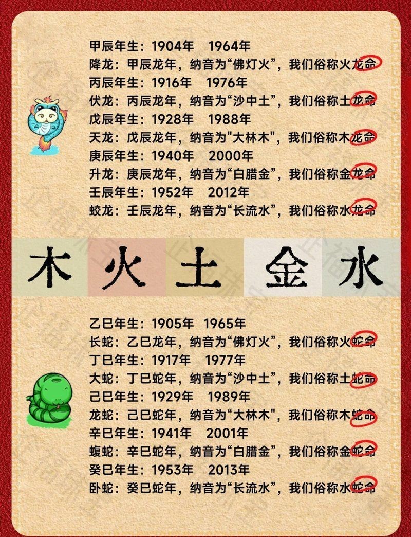 紅龍代表什么生肖