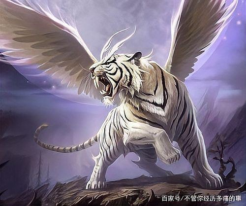 紅龍代表什么生肖