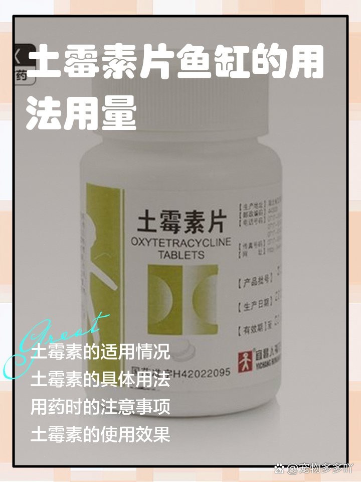 土霉素治療龍魚爛鰭的用量