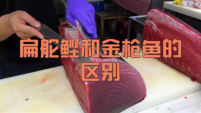 鰹魚和金槍魚的區(qū)別