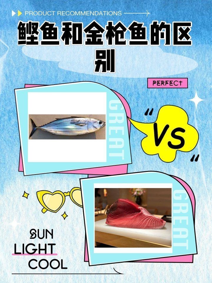 鰹魚和金槍魚的區別