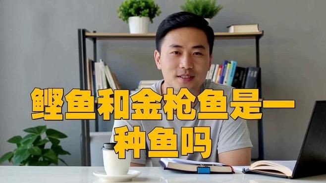 鰹魚和金槍魚的區別