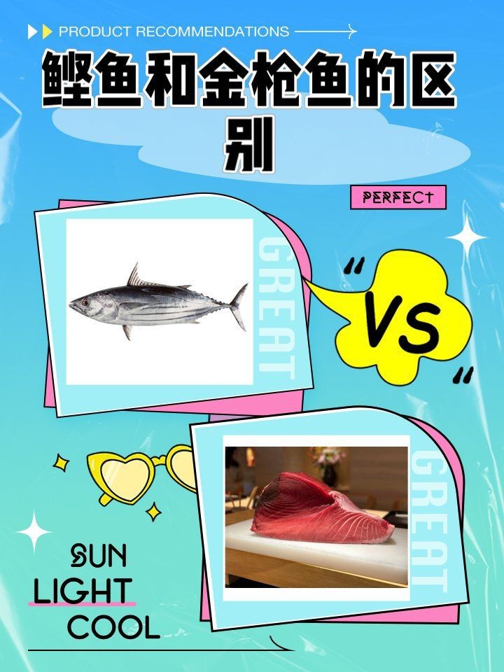 鰹魚和金槍魚的區(qū)別