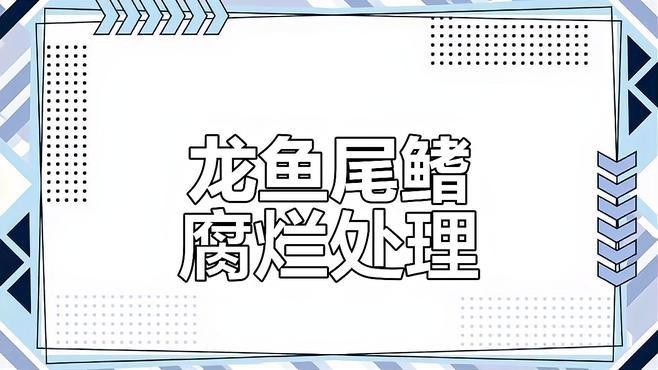 古典過背金龍有哪些常見疾病？ 古典過背金龍有哪些常見疾病？ 龍魚百科 第4張