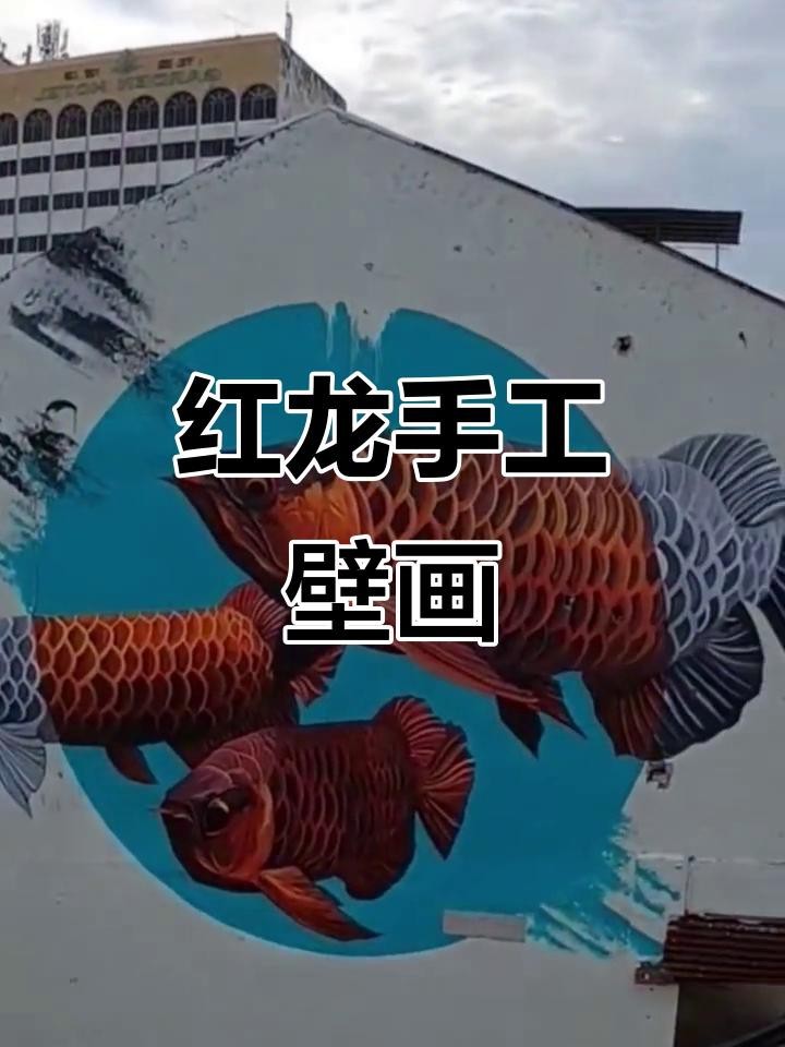 紅龍頭像有哪些搭配建議