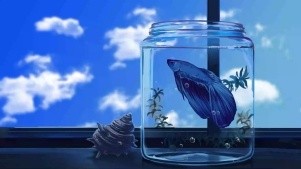 惠州市惠陽區淡水龍東水族館（惠東縣水族館）