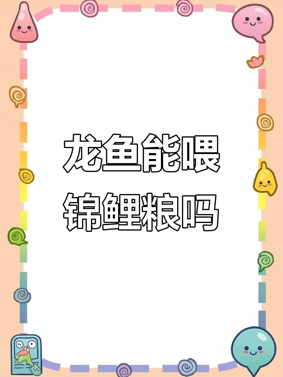 龍魚和錦鯉的喂食技巧有哪些？