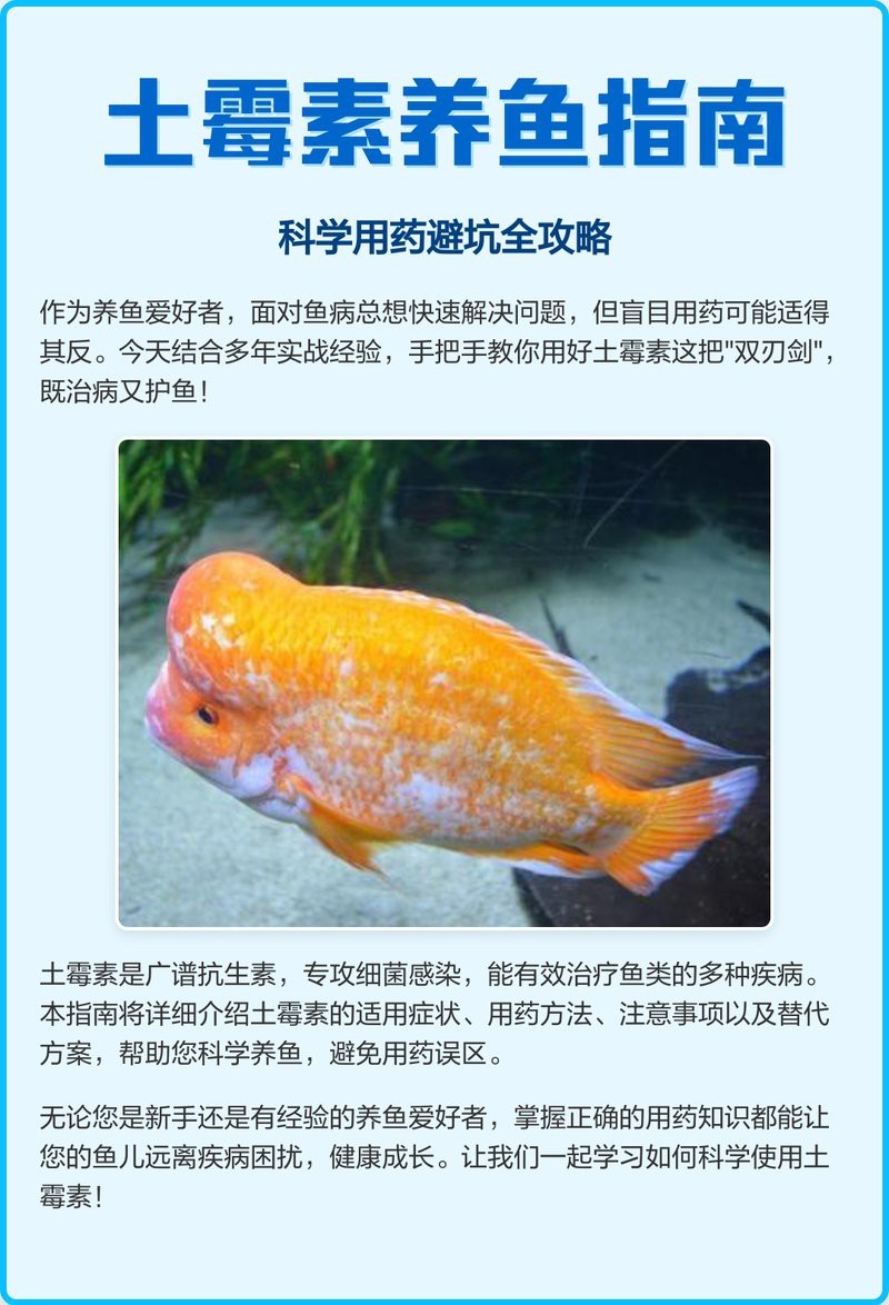 龍魚黃粉和土霉素的推薦使用劑量是多少？