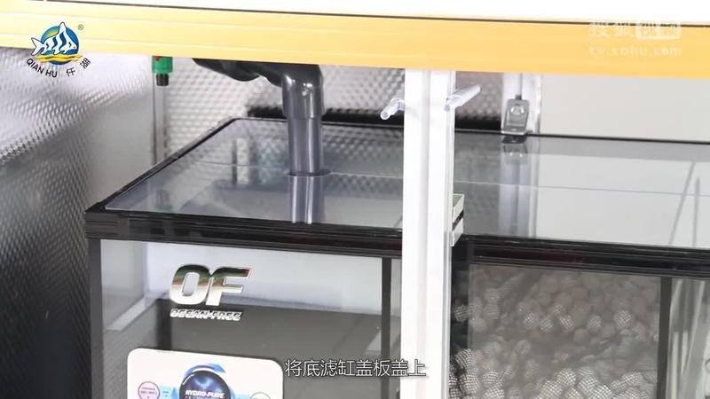 龍擺件放魚缸的正確位置