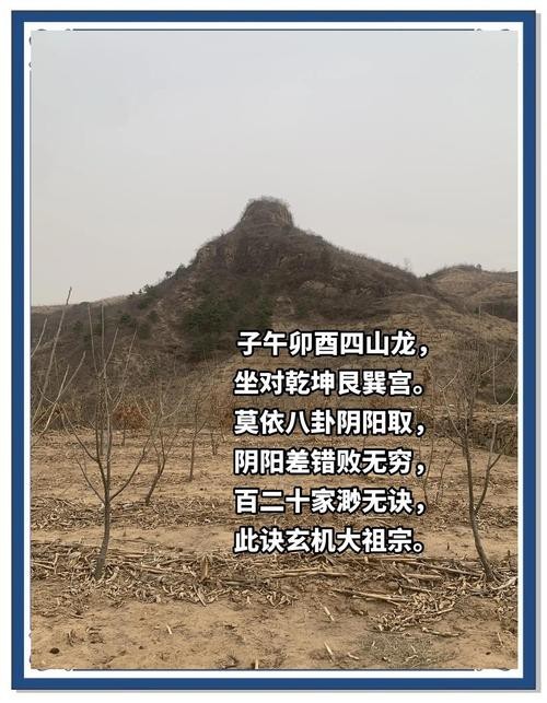 風水龍的圖片