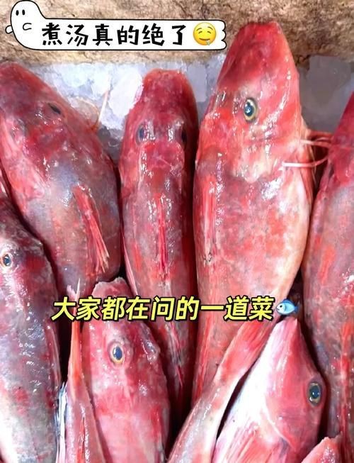紅頭魚的圖片斤
