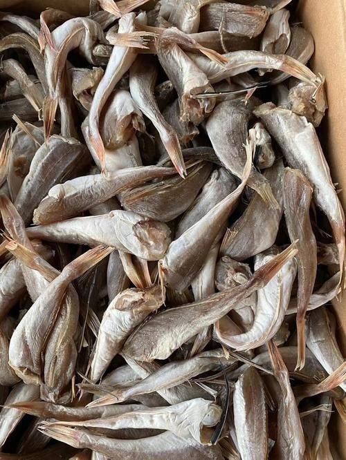 紅頭魚的圖片斤