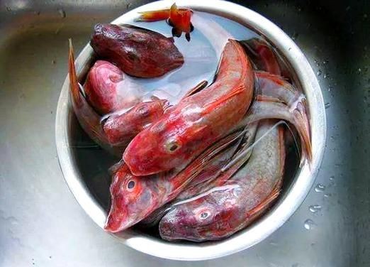 紅頭魚的圖片斤