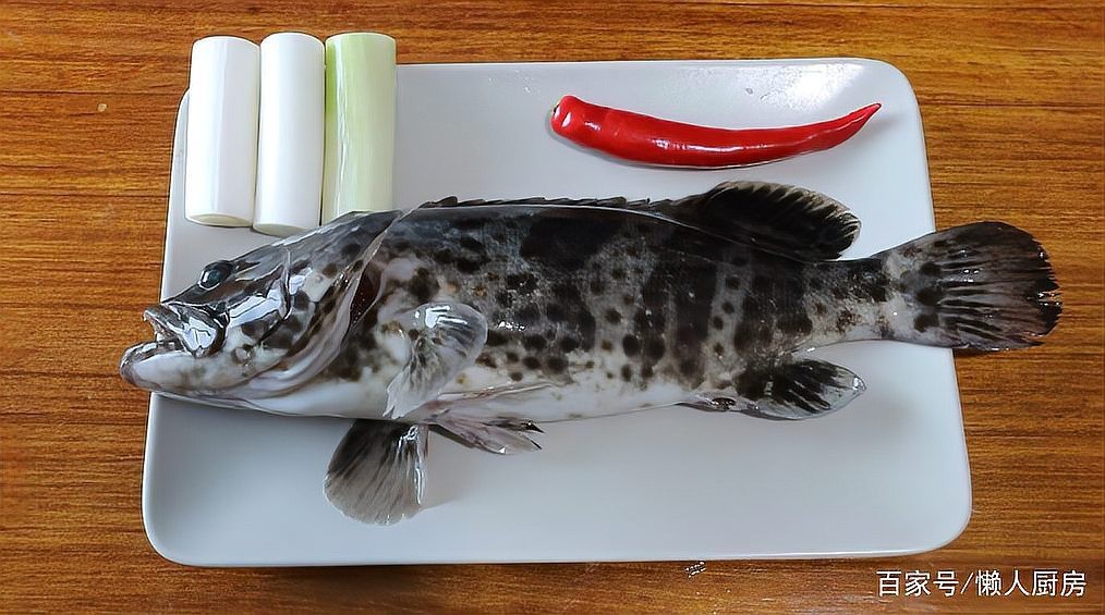 淡水石斑魚能吃嗎
