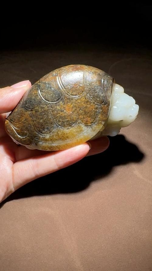 龍龜材質市場價格走勢如何? 龍魚百科 第2張 龍龜材質市場價格走勢如何? 龍龜材質市場價格走勢如何? 龍魚百科 第2張