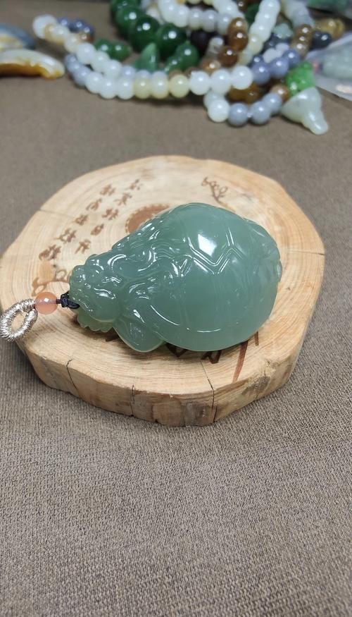 龍龜材質市場價格走勢如何? 龍魚百科 第7張 龍龜材質市場價格走勢如何? 龍龜材質市場價格走勢如何? 龍魚百科 第7張