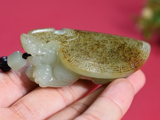 龍龜材質市場價格走勢如何? 龍魚百科 第6張 龍龜材質市場價格走勢如何? 龍龜材質市場價格走勢如何? 龍魚百科 第6張