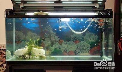 運城經濟開發旭光水族店（運城旭博光商貿有限公司）