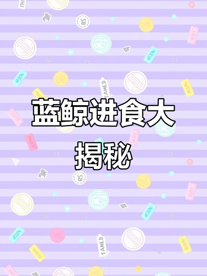 能否詳細對比藍鯨與滄龍的捕食方式？