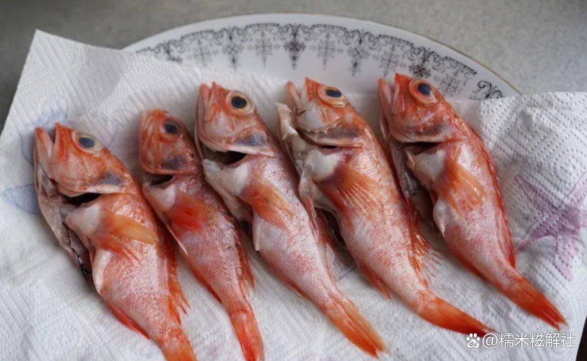 虎頭魚多少錢一斤