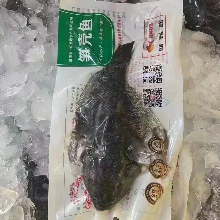 虎頭魚多少錢一斤