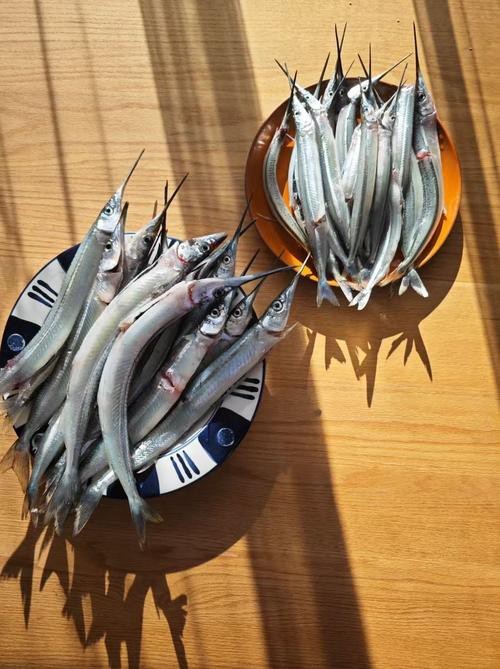 淡水劍魚圖片