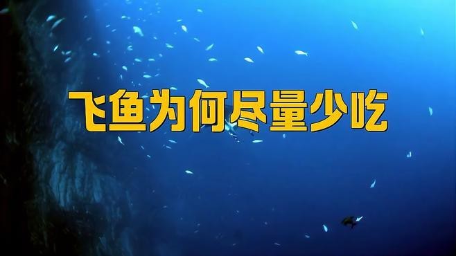 飛魚為何盡量少吃