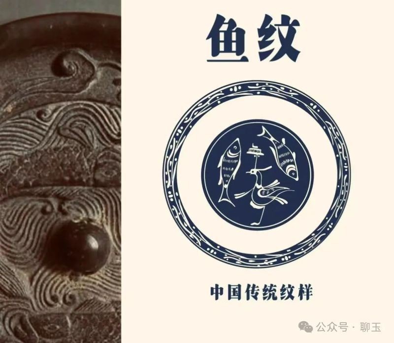 虎魚紋最簡單三個地方 虎魚紋最簡單三個地方 龍魚論壇 第4張