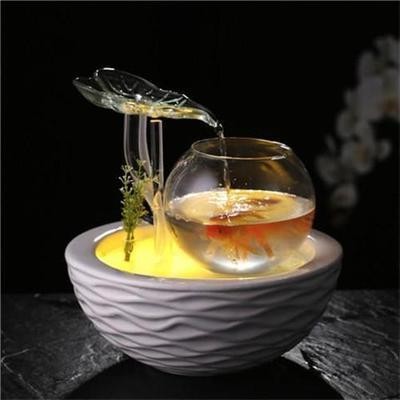 太原市小店區李新星水族館（太原市小店區李新星水族館地址）