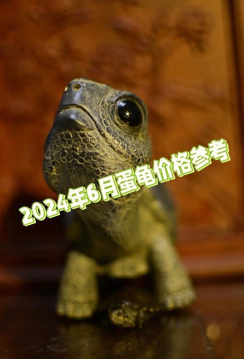 虎紋龍王價格表