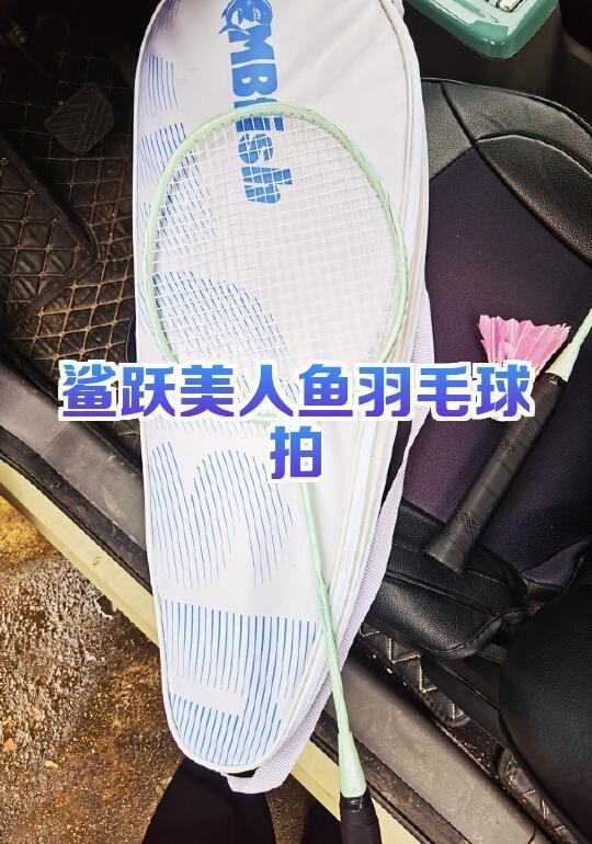 鯊魚球拍什么牌子