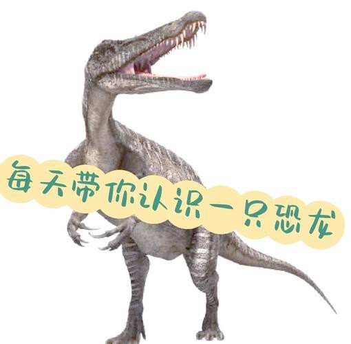 鱷魚恐龍圖片大全大圖