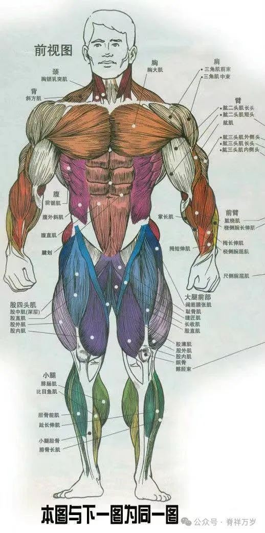 鱷魚恐龍圖片大全大圖